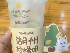 -猫的魔法密林(衣裳街店)