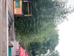 -WhaleSports户外水上运动俱乐部(朝阳公园店)