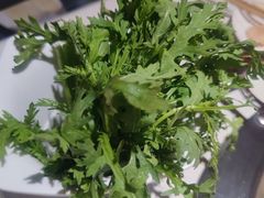 -川西坝子(老军营店)