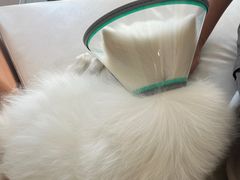 -立德动物医院·24小时中心(番禺区院区)