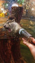 -Zoolung Zoolung动物主题公园(海信广场店)