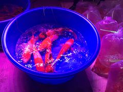 -中环花鸟鱼虫市场