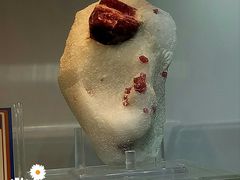 -中国地质大学逸夫博物馆