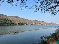 -杭州君悦酒店