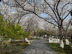 -范蠡湖公园
