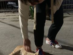 -会安古镇