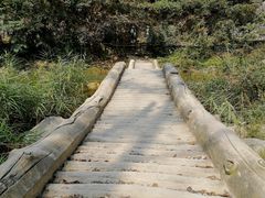 -郧西五龙河风景区