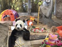 -海南热带野生动植物园