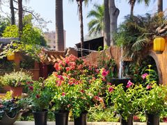 -园林美食城·本土农家菜(杨和镇店)