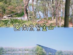 -紫金山山顶公园