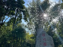 -潜山国家森林公园