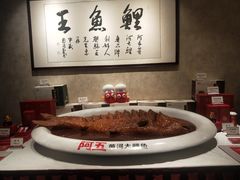 -阿五黄河大鲤鱼(纬三路店)