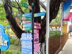 -盈香心动乐园
