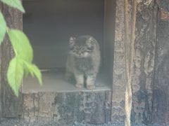 -青藏高原野生动物园