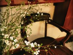 -Ginko银子(青龙街店)
