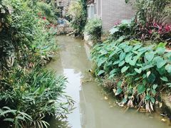 -小洲村