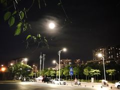 -凤岭儿童公园