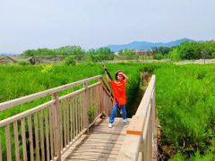 -亲兄弟真人CS团建拓展基地