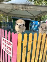 -萌宠亲子动物乐园(槐房万达店)