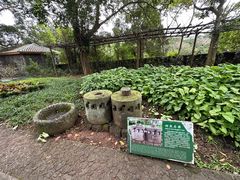 -海口火山口国家地质公园