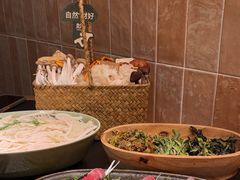 -大龙燚·旷野鲜火锅(广州首店)