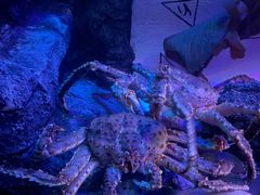 -沈阳海洋探索中心