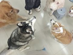 -汪说·狗咖(旺城大厦店)