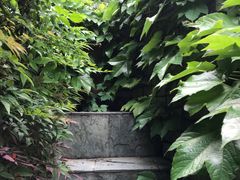 -竹吟山房