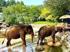 -北京野生动物园