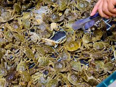-聚盛源蒸汽海鲜火锅烤肉自助(巨川金海岸购物广场店)