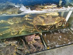 水产区-蚝专家(北滘店)