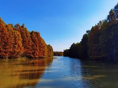 -上海海湾国家森林公园