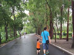 鼎湖山-鼎湖山风景区