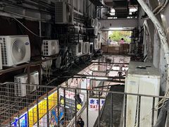 -珍妮曲奇聪明小熊(尖沙咀店)