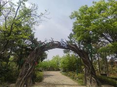 -茅山东方盐湖城景区