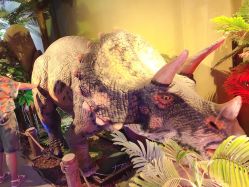 -恐龙探索乐园(磁器口店)