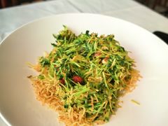 低卡巧手拌豆苗-四季民福烤鸭店(望京南湖东园店)