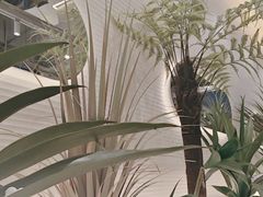 -兰湘子·湘菜小炒(崂山丽达店)