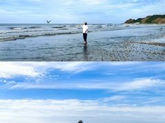 -大鹿岛