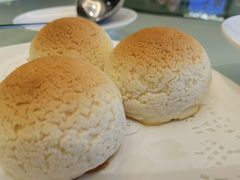 雪顶雄峰-利苑酒家(金宝店)