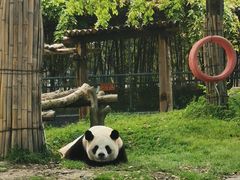-宁波野生动物园