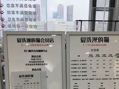 -爱洗澡的猫(望京店)