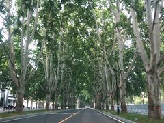 -河南省黄河迎宾馆