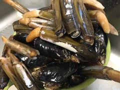 蛏子-众彩物流水产市场