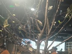 -韩盛·盛江山自助料理(于洪新玛特店)