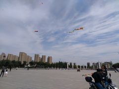 -丁香湖公园