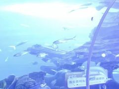 -多彩贵州城极地海洋世界