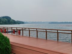 -丁香湖公园