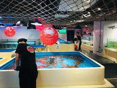 -日进一片海.生腌海鲜火锅.宵夜烧烤(三里屯总店)