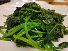 番薯叶-天瑞轩·粤菜餐厅
